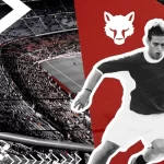 Top Sports Leagues by Global Viewership and Fan Impact