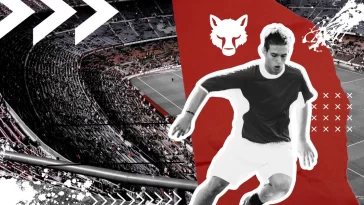 Top Sports Leagues by Global Viewership and Fan Impact