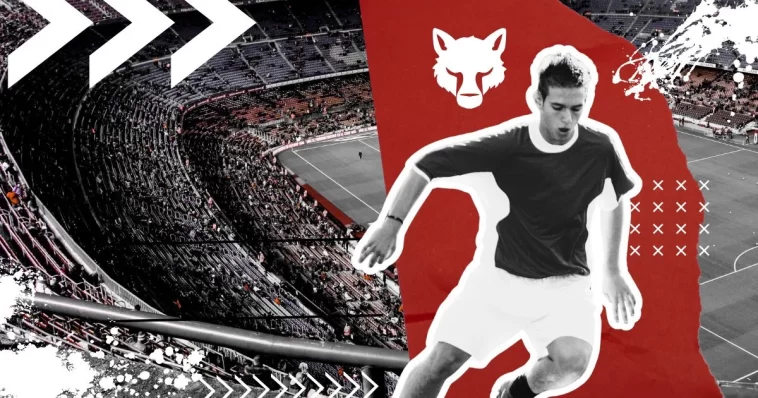 Top Sports Leagues by Global Viewership and Fan Impact